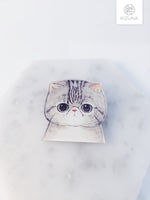 Load image into Gallery viewer, Cute Fluffy Kitten Pins (2 styles)
