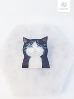 Load image into Gallery viewer, Annoyed Cat Acrylic Pin
